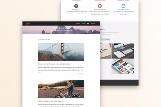 Color WordPress Theme