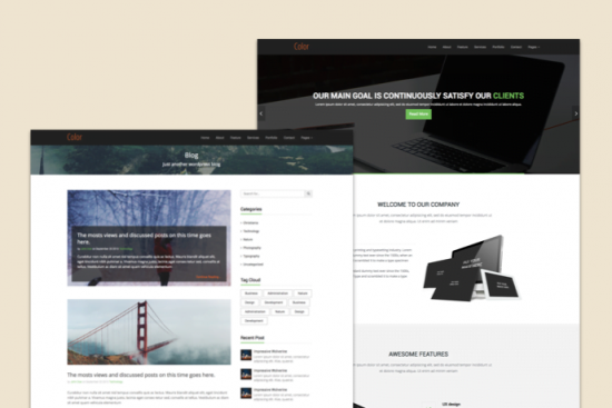 Color HTML5 Template Premium